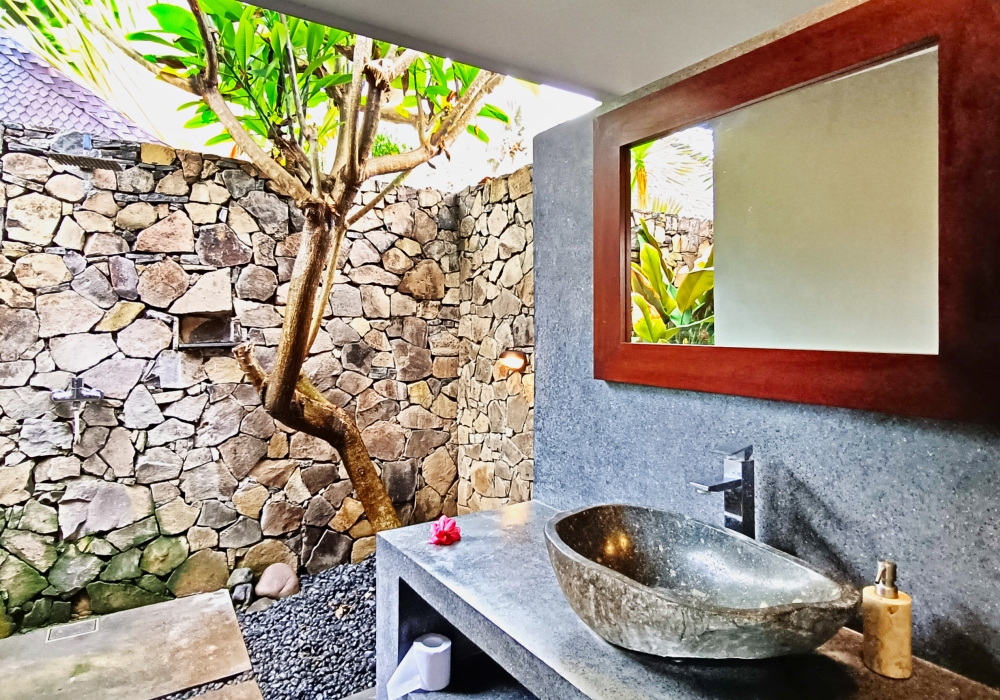 Interior view of deluxe