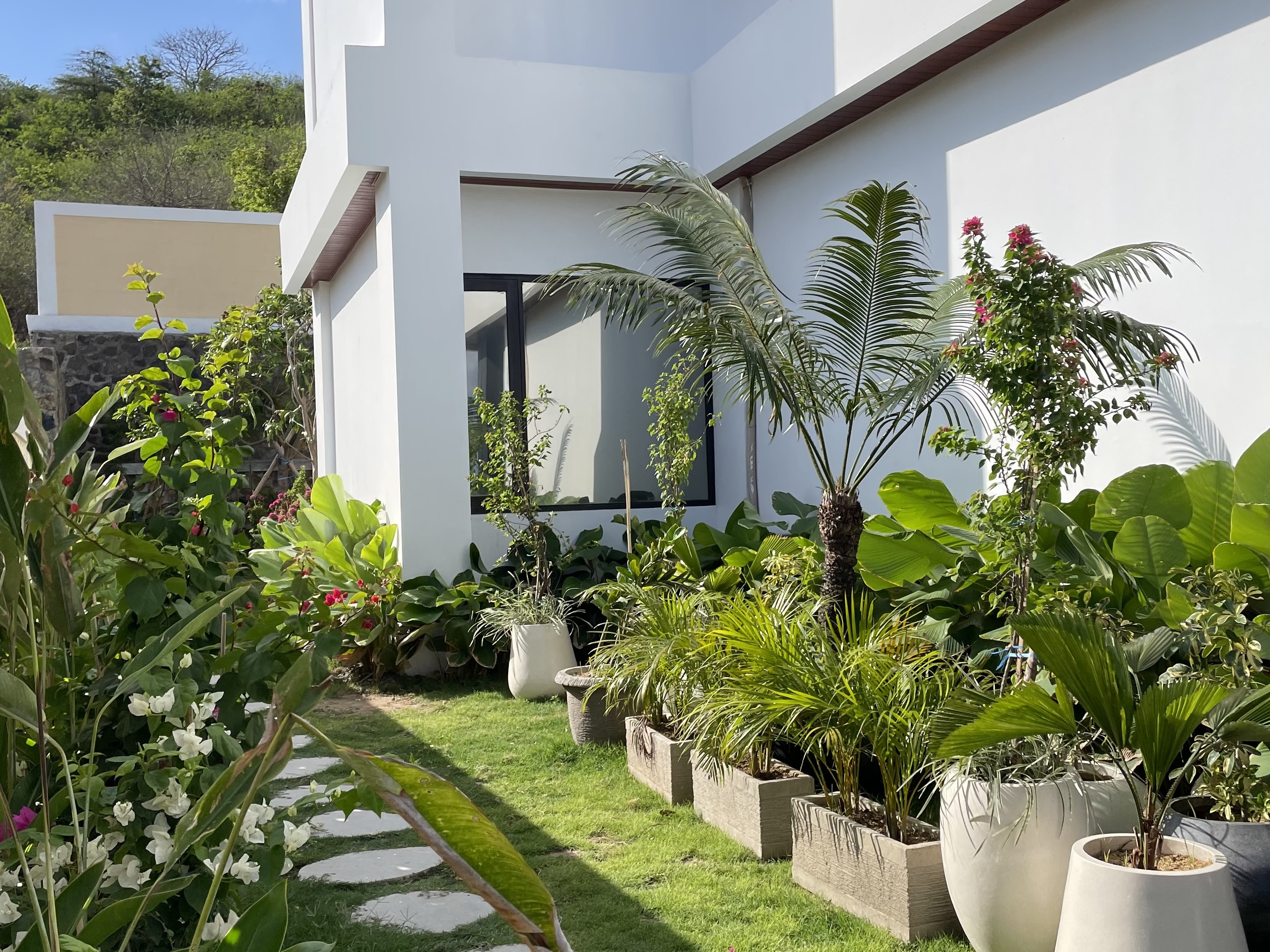 Vibes Hospitality - Hotel Exterior